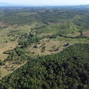 finca en venta en livingston, izabal – alta capacidad productiva
